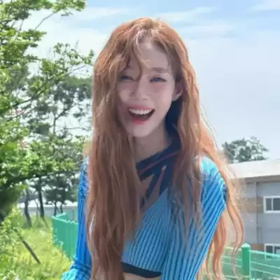 盖菊华